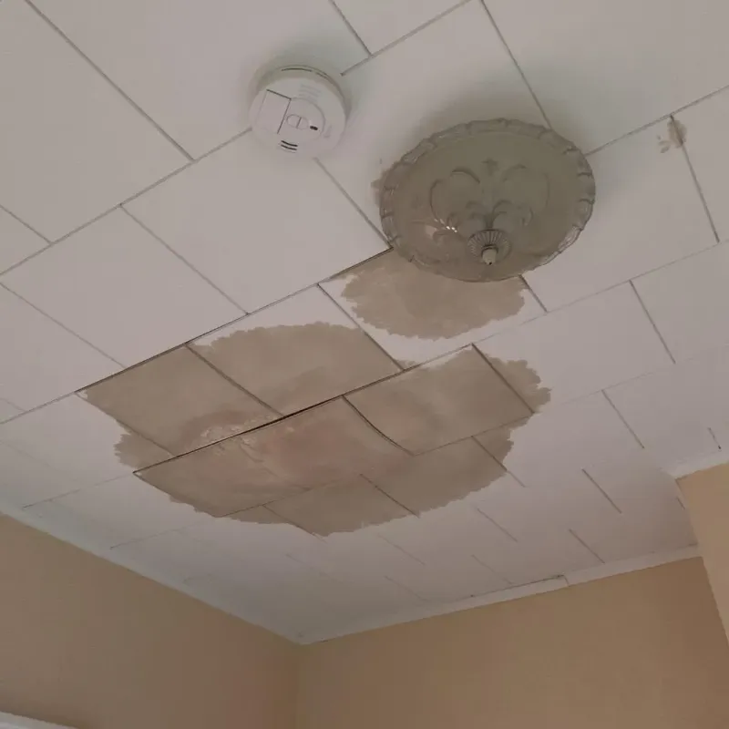 Ceiling Water Damage Repair in Utica, MI