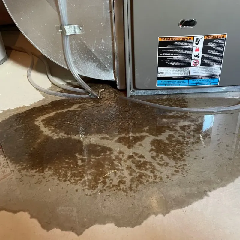 Pipe Burst and Leak Restoration in Utica, MI
