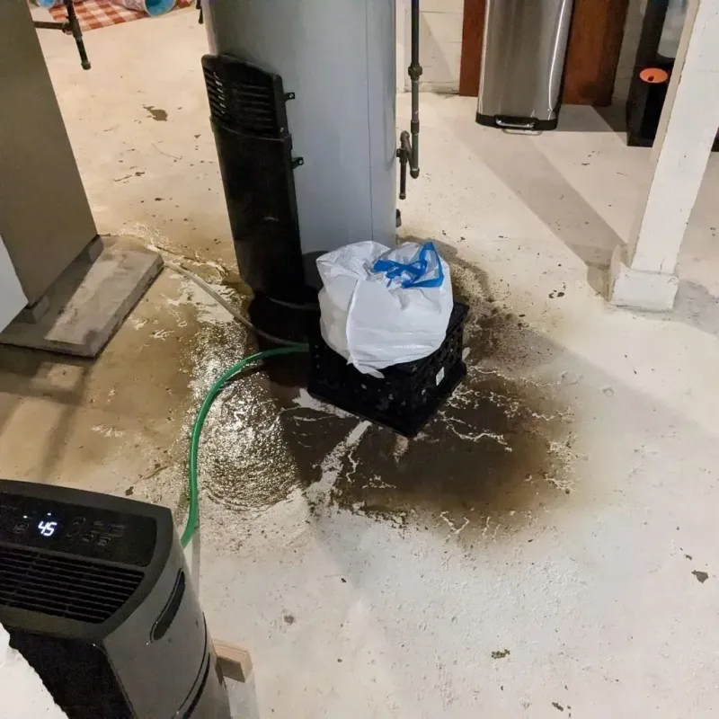 Sewage Backup Cleanup Service in Utica, MI